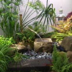 Jardin zen