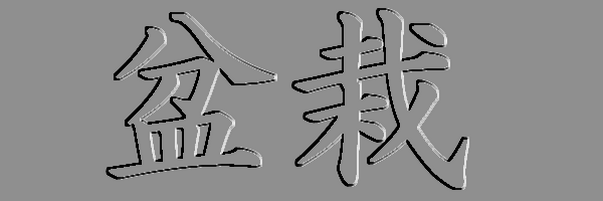 6. Que significa Bonsai ? 10 Bonsai-kanji 5