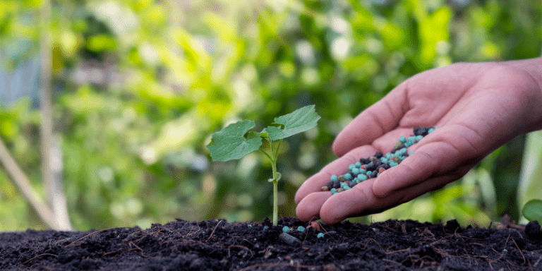 4. Fertilizante en los Bonsai 11 Fertilizante