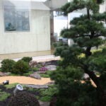 P0251-2 - Jardin japones con Niwaki 10 P251 2 G 2