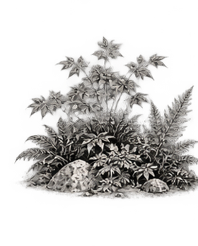 Vegetación en el diseño de un jardín japonés