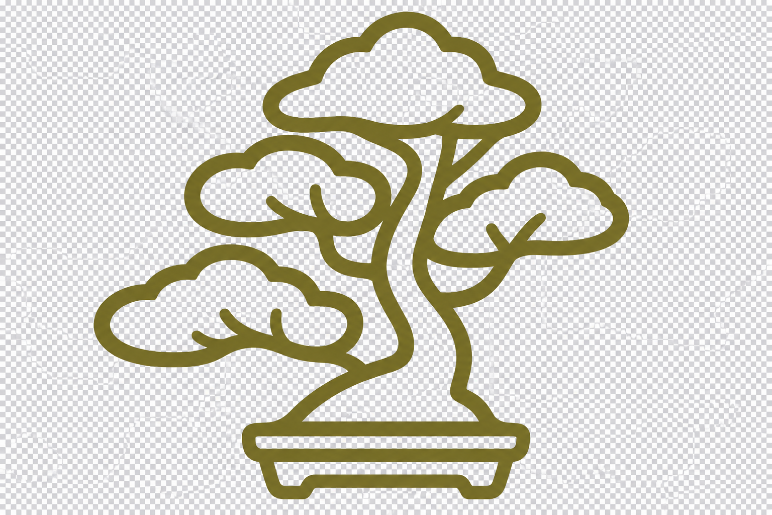 bonsai