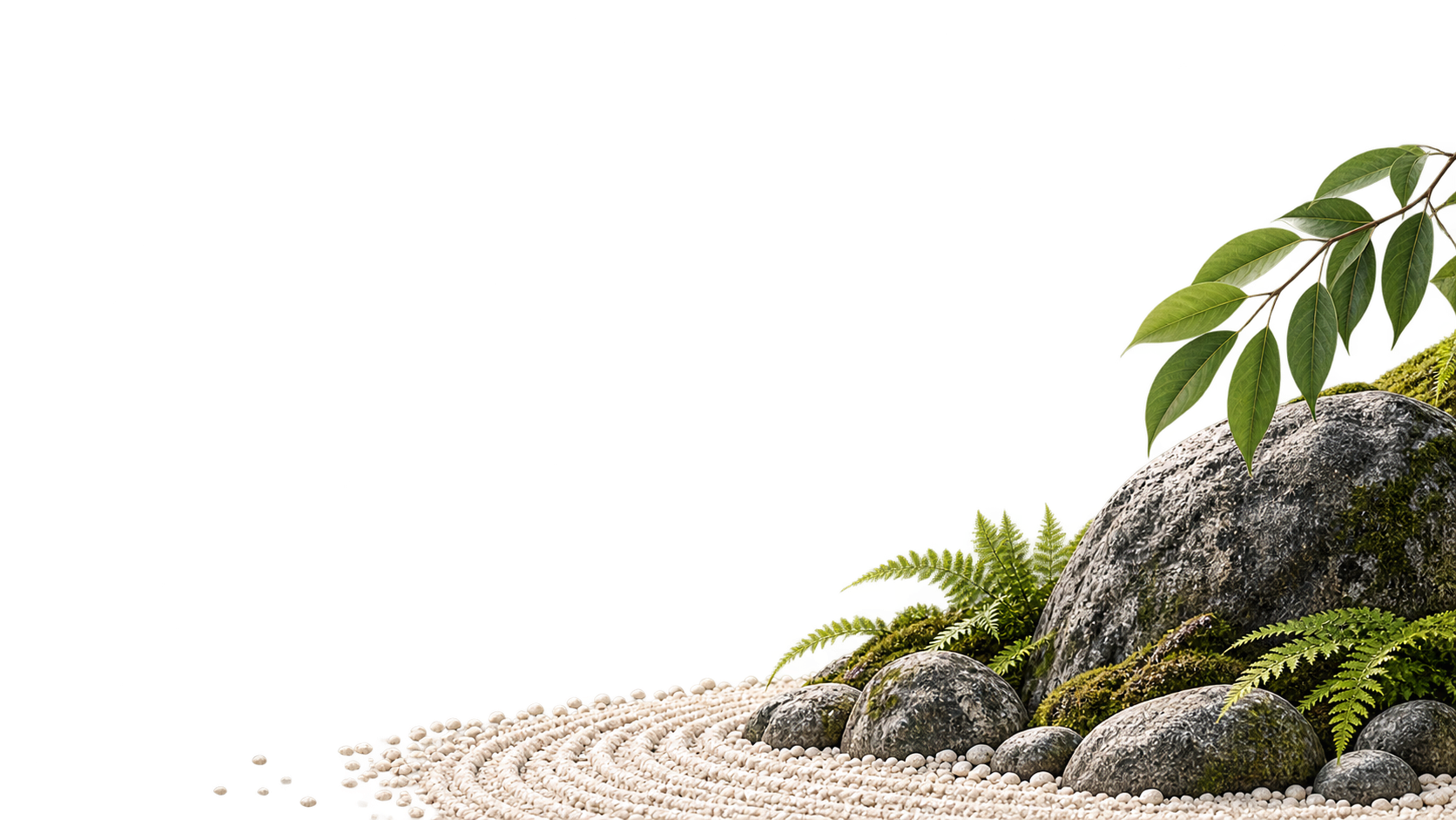 fondo zen V2