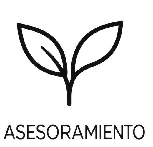 icono asesoramiento 1
