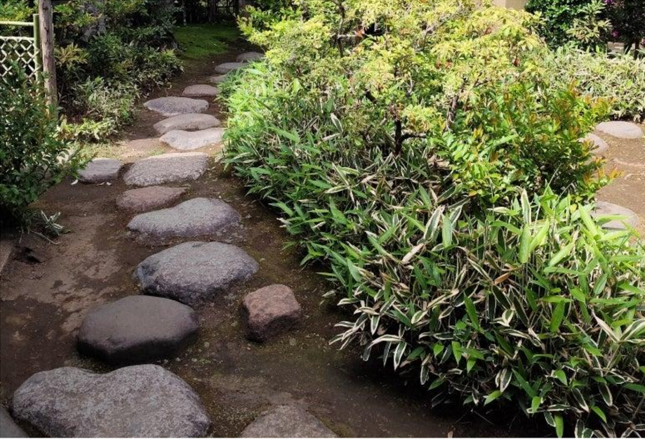 Camino de piedras entre vegetación en un jardín japonés