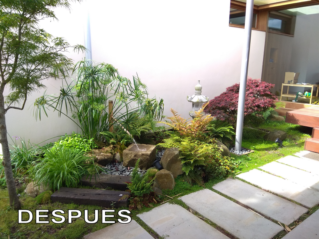 Piedra y bambú en un jardín japonés tsuboniwa