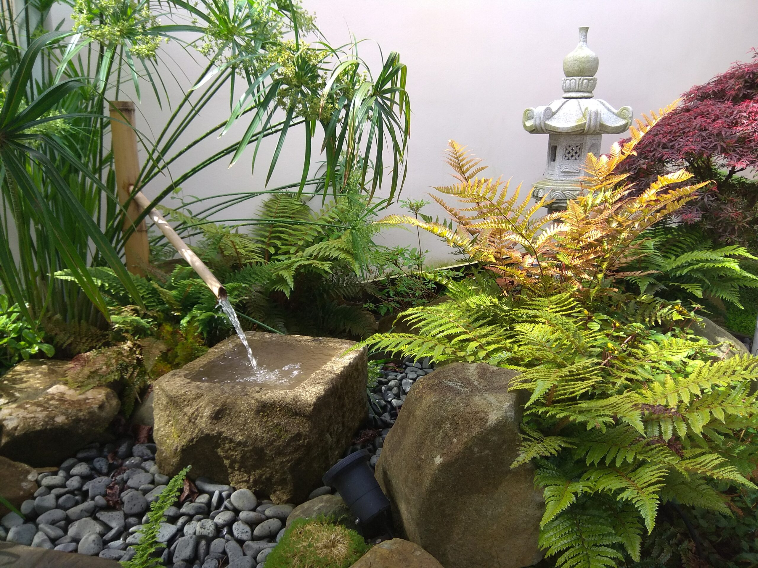 Jardín japonés de entrada con tsukubai y linterna