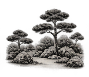hiraniwa 1