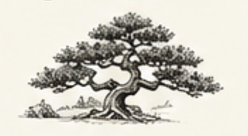 tipos de jardines